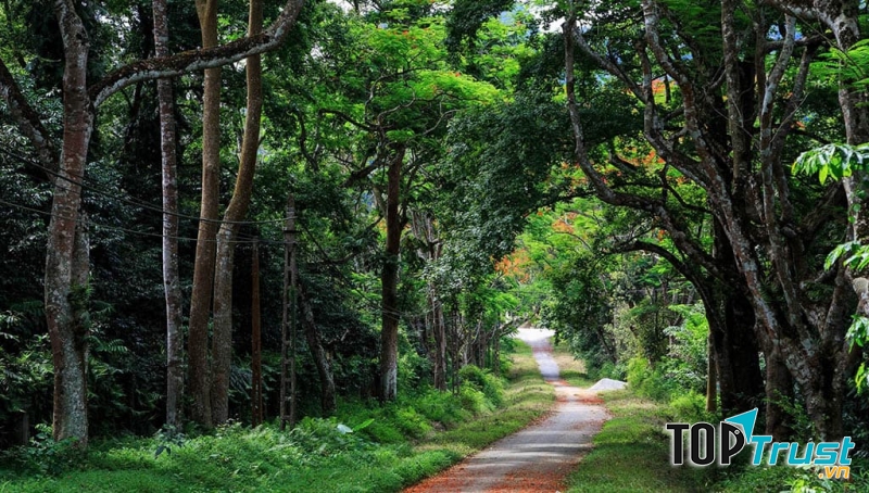 Vườn Quốc gia Ba Vì xinh đẹp