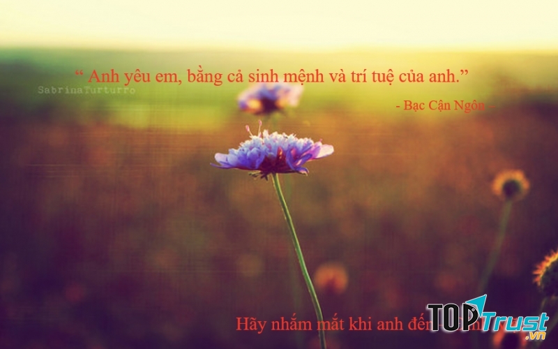 Bạc Cận Ngôn - Hãy nhắm mắt khi anh đến, Đinh Mặc
