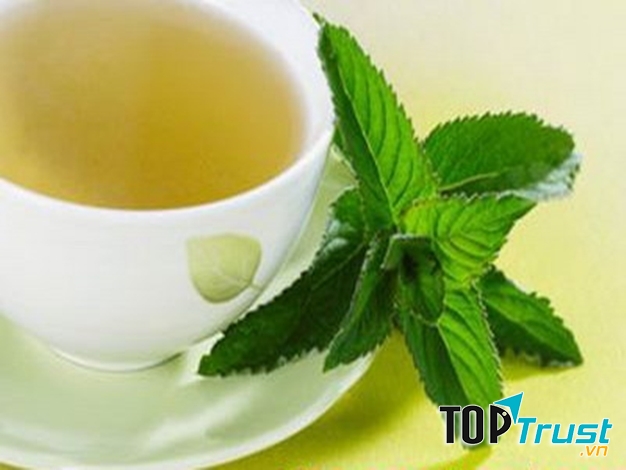 Bạc hà trị nôn nghén ở phụ nữ mang thai
