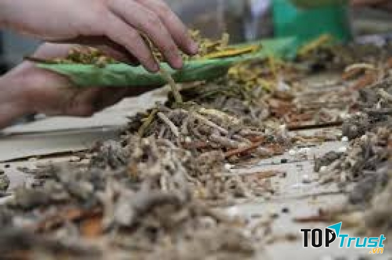 Bác sĩ đông y Nguyễn Thị Phương