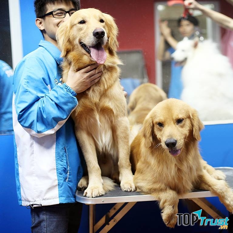 Bác sĩ thú y, nhân viên chăm sóc thú cưng