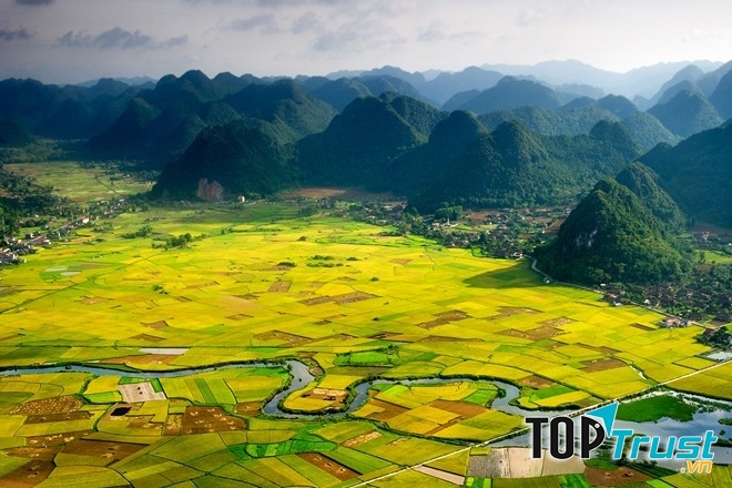 Khung cảnh quyến rũ với dòng sông chảy len lỏi bên cánh đồng lúa trải rộng bốn bề.