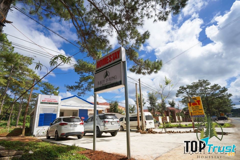 Bạch Dương Homestay