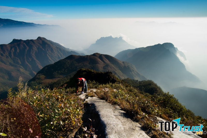Bạch Mộc Lương Tử