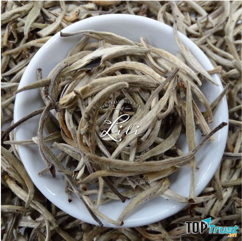 Bạch Trà - Lili Tea World