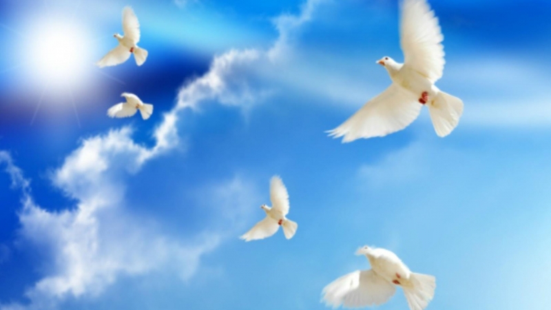 Về với sự bình yên