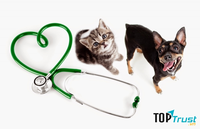 petmart.vn