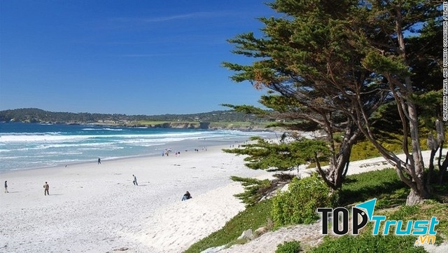 Bãi biển California