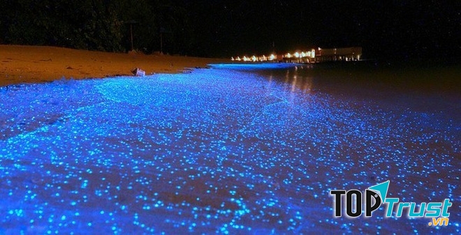 Bãi biển đảo Vaadhoo – Maldives