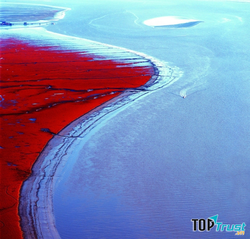 Bãi biển đỏ - Trung Quốc