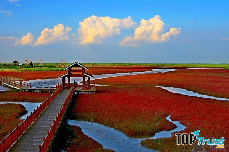 Bãi biển đỏ - Trung Quốc