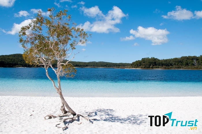 Bãi biển Gansbaai, Nam Phi