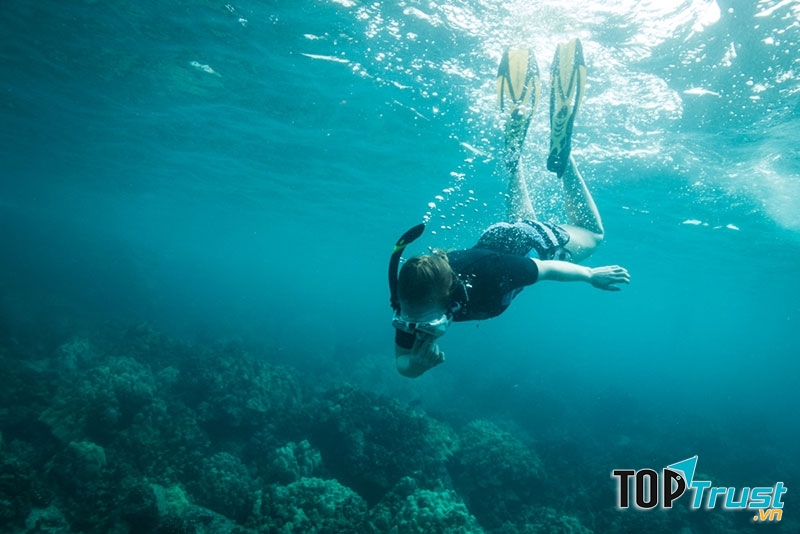 Bãi biển Honaunau