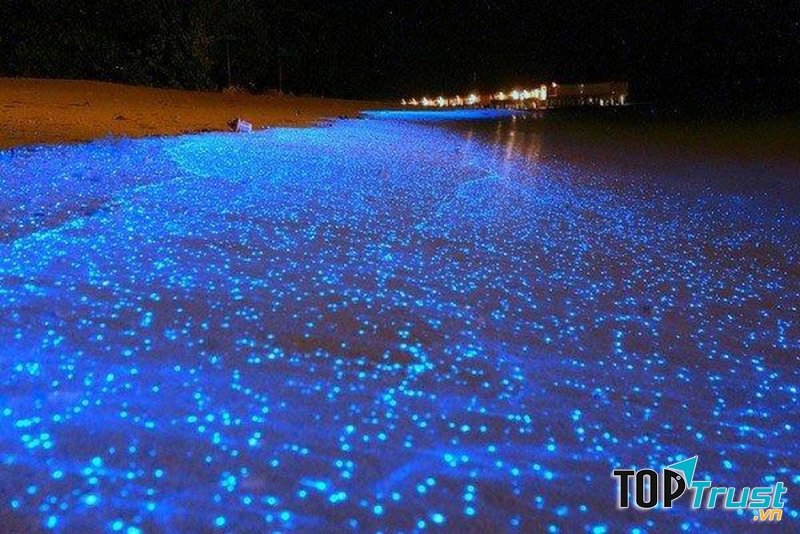 Bãi biển lân tinh (Mandives)