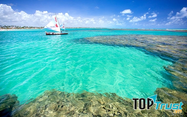 Bãi biển Porto de Galinhas