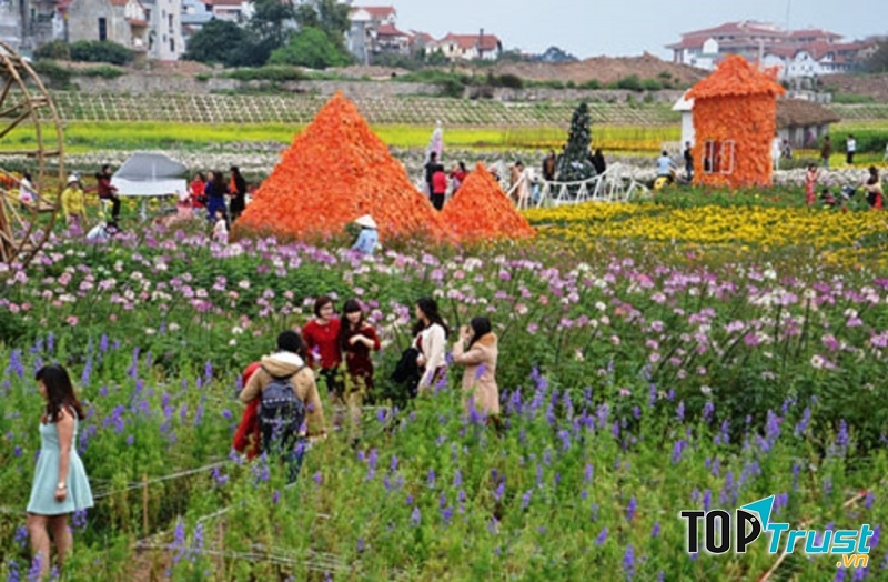 Bãi đá Sông Hồng tuyệt đẹp với những cánh đồng hoa đầy màu sắc. Ảnh sưu tầm.