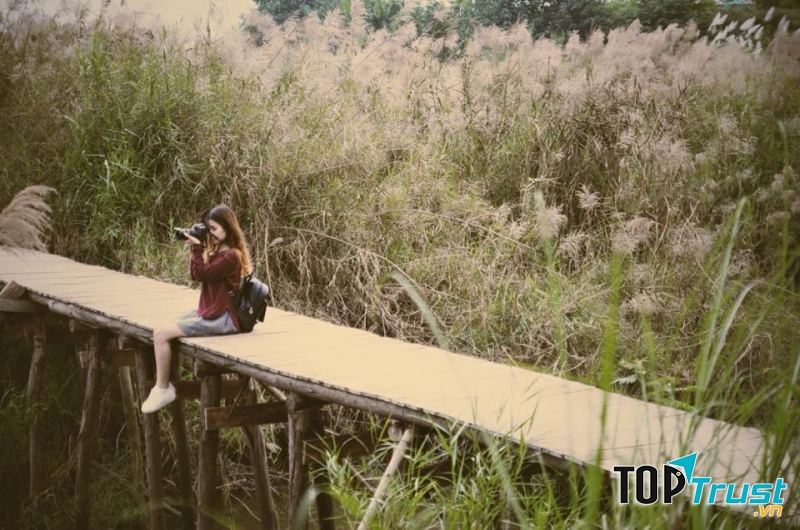 Bãi đá sông hồng