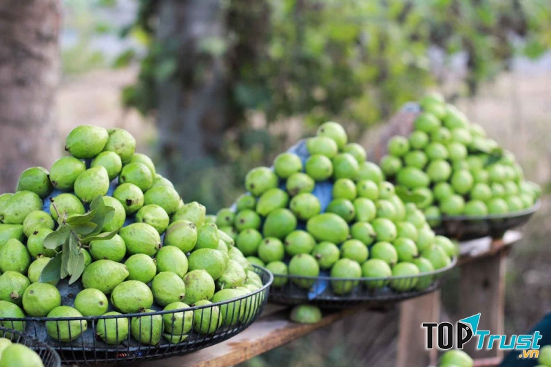 Ảnh minh họa (Nguồn internet)