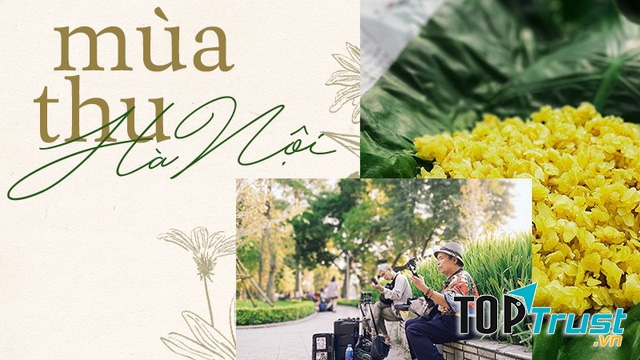 Ảnh minh họa (Nguồn internet)