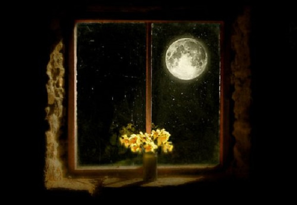 Ảnh minh họa (Nguồn internet)