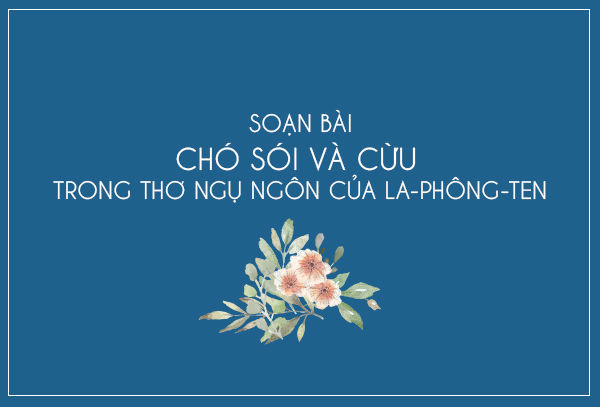 Ảnh minh họa (Nguồn internet)