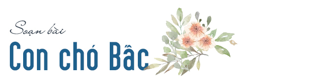 Ảnh minh họa (Nguồn internet)