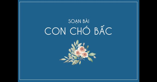 Ảnh minh họa (Nguồn internet)