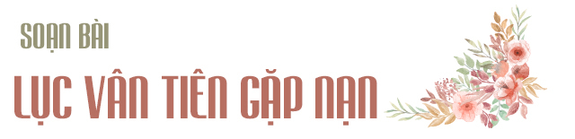 Ảnh minh họa (Nguồn internet)