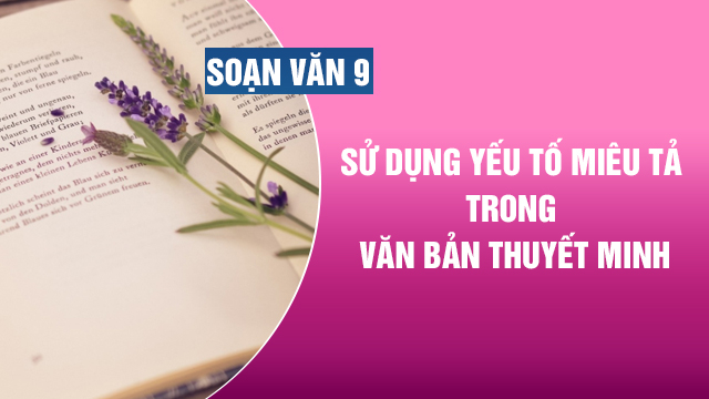 Ảnh minh họa (Nguồn internet)