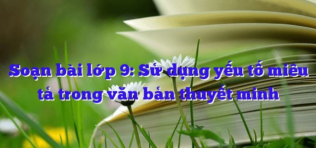 Ảnh minh họa (Nguồn internet)