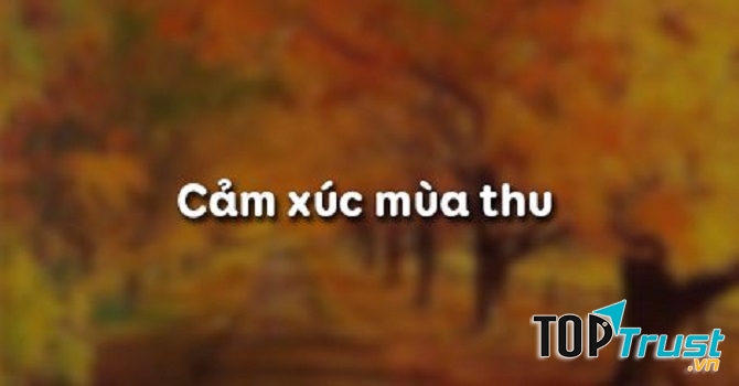 Hình minh họa