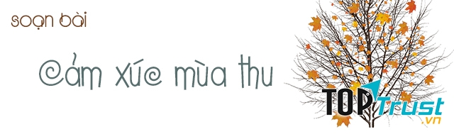 Hình minh họa