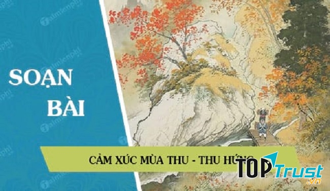 Hình minh họa