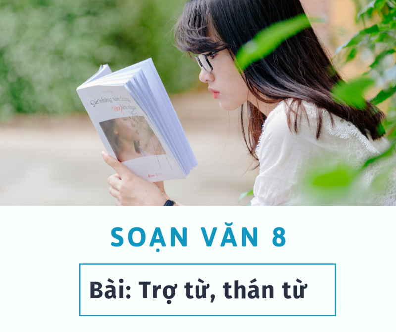 Ảnh minh họa (Nguồn internet)