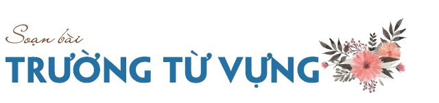 Ảnh minh họa (Nguồn internet)