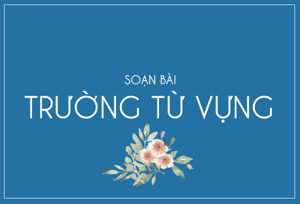 Ảnh minh họa (Nguồn internet)