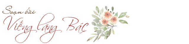 Ảnh minh họa (Nguồn internet)