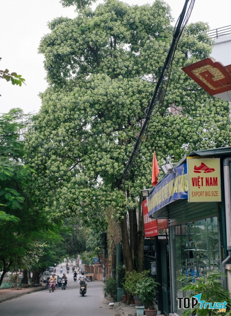 Ảnh minh họa (nguồn internet)