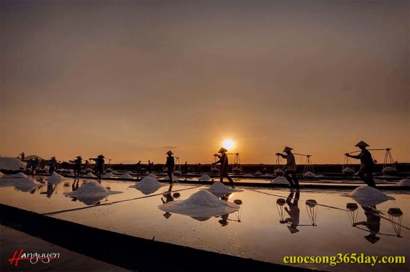 Ảnh minh họa ( nguồn cuocsong365day.com)