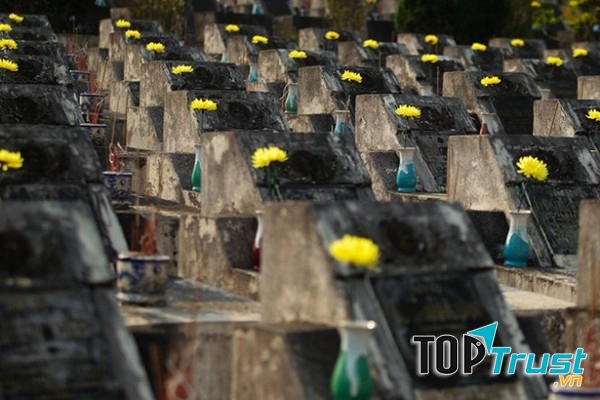 Ảnh minh họa (nguồn internet)