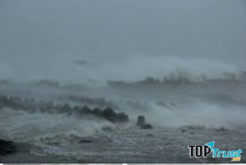 Ảnh minh họa (nguồn internet)