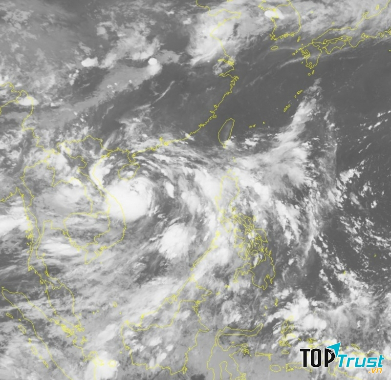 Ảnh minh họa (nguồn internet)