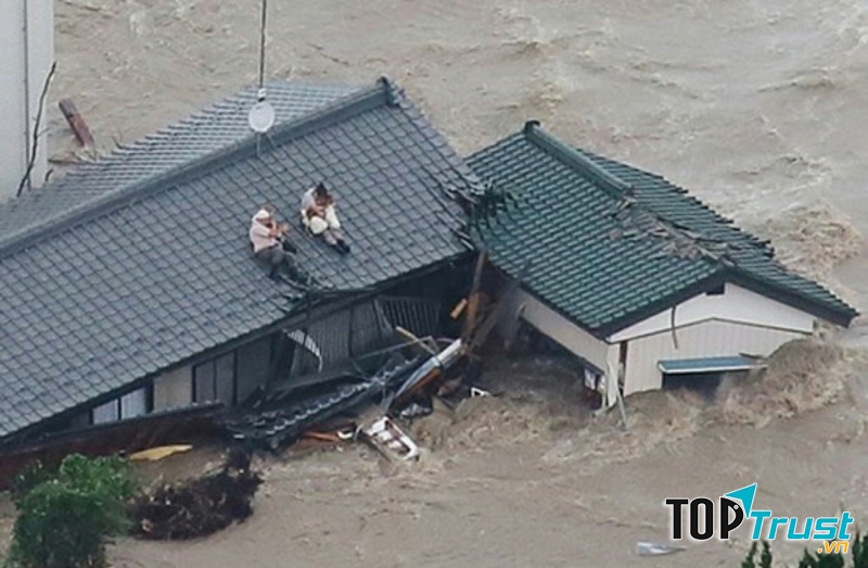 Ảnh minh họa (nguồn internet)