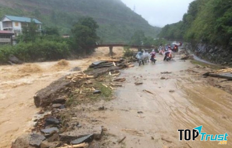 Ảnh minh họa (nguồn internet)