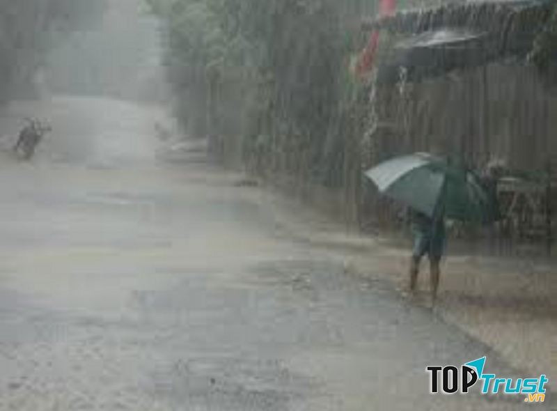 Ảnh minh họa (nguồn internet)