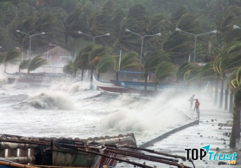 Ảnh minh họa (nguồn internet)