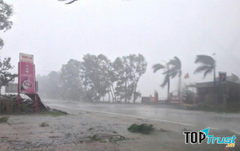 Ảnh minh họa (nguồn internet)