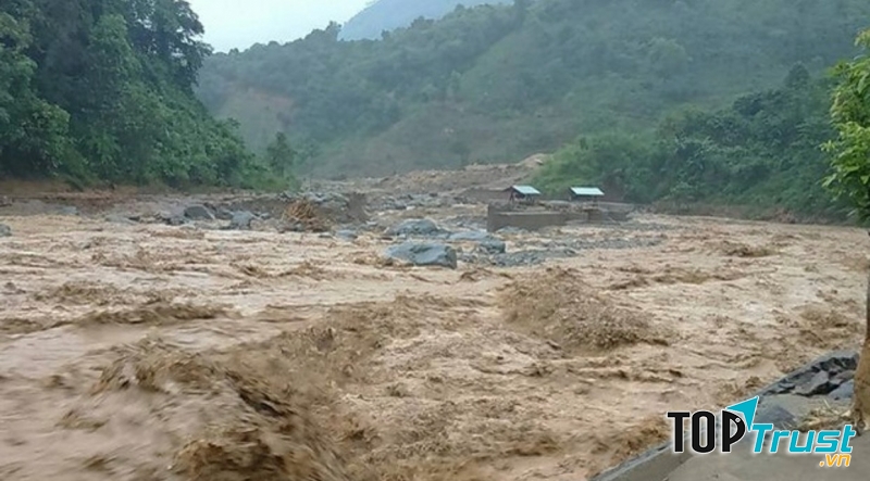 Ảnh minh họa (nguồn internet)