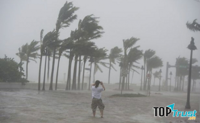 Ảnh minh họa (nguồn internet)