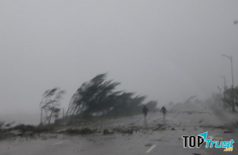 Ảnh minh họa (nguồn internet)